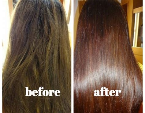 Your Hair Become Healthy And Shiny Junca Group Company