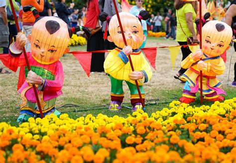 Bnz Auckland Lantern Festival Feb Auckland New Zealand