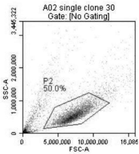 Feeder Layer Cells Patented Technology Retrieval Search Results