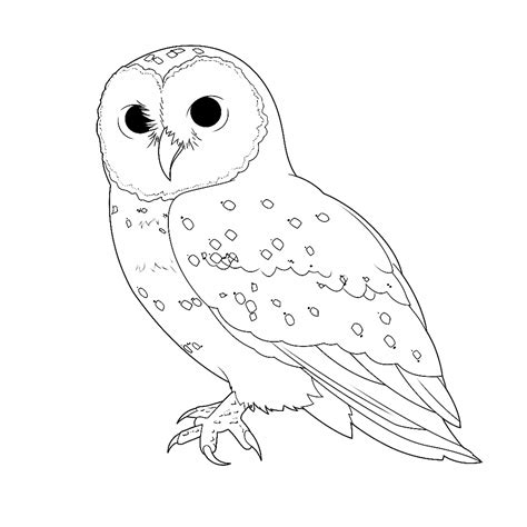 Snowy Owl Coloring Pages Coloring Corner