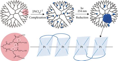 A Schematic Process Of The Formation Of Pt Ncs Using A Dendrimer As A Download Scientific