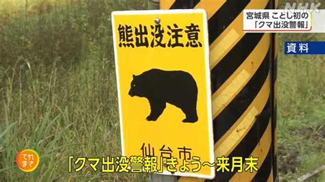 クマ目撃件数が急増 県がことし初の「出没警報」｜nhk 宮城のニュース