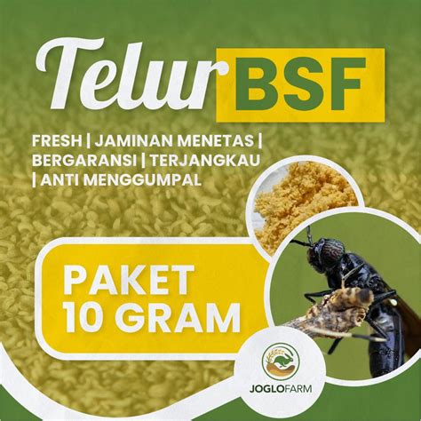 Jual Telur Maggot Bsf Gram Shopee Indonesia