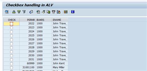 An Sap Consultant Abap Checkbox In Alv Program Hot Sex Picture