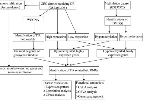 Figure 1 From Identi Cation Of Methylated Differentially Expressed Hub