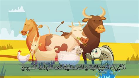 درس الثروة الحيوانية و السمكية في الوطن العربي للصف الثاني الإعدادي