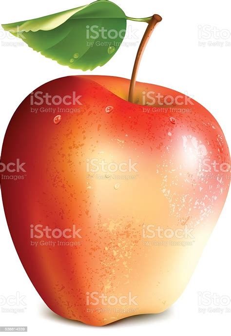 Red Apple Stock Illustration Download Image Now 2015 Apple Fruit