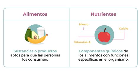 Diferencias Entre Alimento Y Nutriente Mt Hot Sex Picture