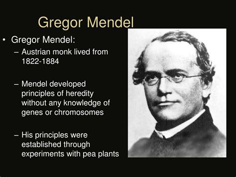 PPT Understanding Gregor Mendel S Genetics Terms And Laws PowerPoint