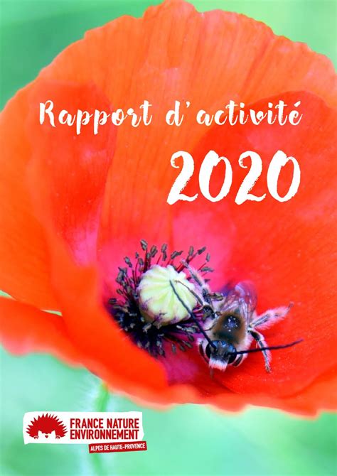 Calaméo Rapport Dactivité 2020 De Fne 04