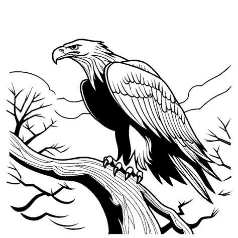 Eagle Perched On Branch Coloring Page Lulu Pages