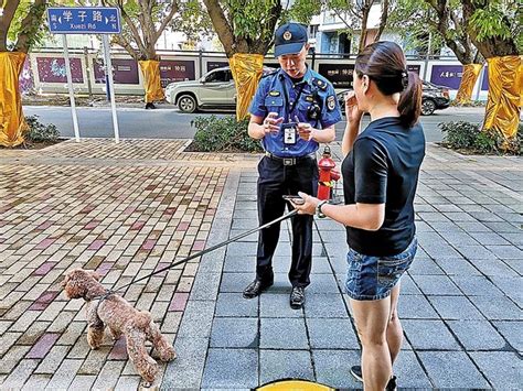 本月起 宝安全面整治不文明养犬行为深圳宝安网