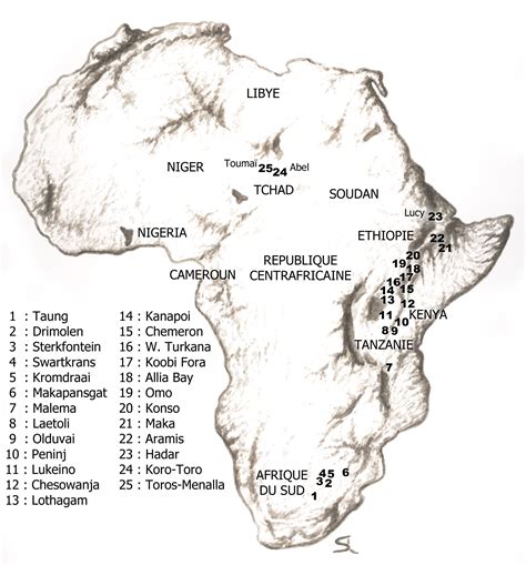 Sahelanthropus Tchadensis Map