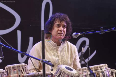 Zakir Hussain at Pulse concert in Sion, Mumbai on 11th Jan 2013 / Zakir ...