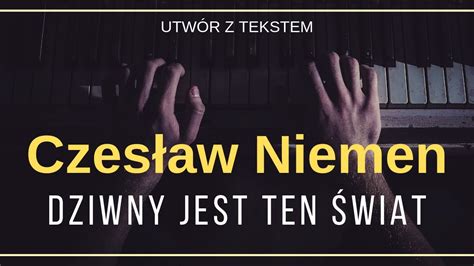 Czesław Niemen Dziwny jest ten świat tekst słowa napisy