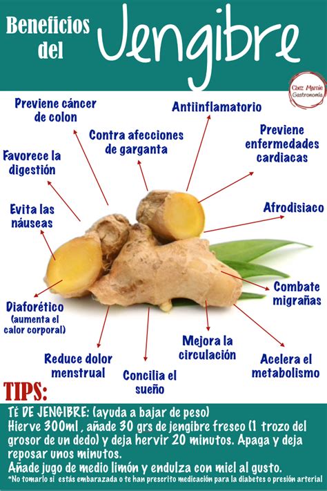 Jengibre Beneficios Frutas Y Verduras Beneficios Beneficios De