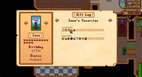 Custom NPCs for Stardew Valley [2023]