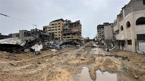 Disease could be bigger killer than bombs in Gaza: WHO