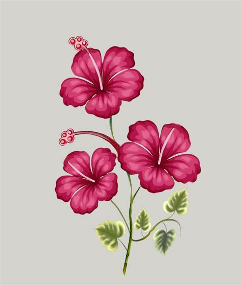 Pin By Afzal Tamboli On Sarch Folder Botanical Flower Art Flower Art