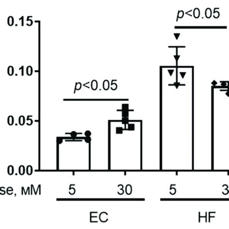 MPT Pore Opening In Mouse Microvascular Endothelial Cells A