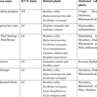 Some common plants of nectar-feeding birds | Download Scientific Diagram