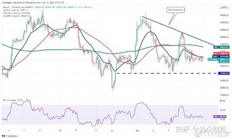 本周最值得关注的5种加密货币：btc、点、沙、符文、zec 知乎