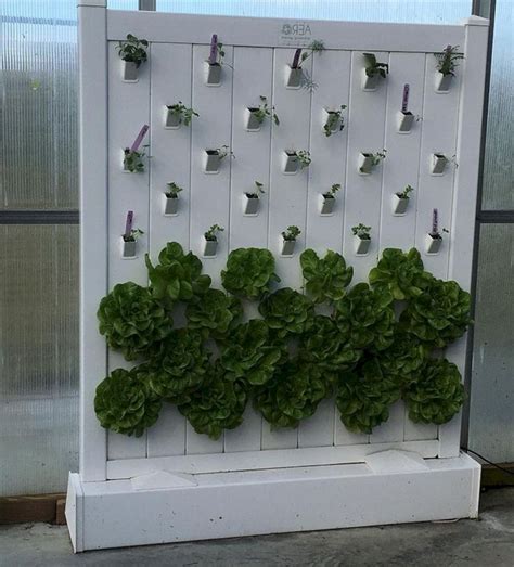 20+ Best And Charming Hydroponic Home Garden Design – HomeDecorish