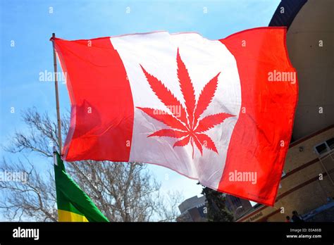 Canada flag marijuana hi-res stock photography and images - Alamy