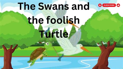 swans   foolish turtle  foolish turtle   swans
