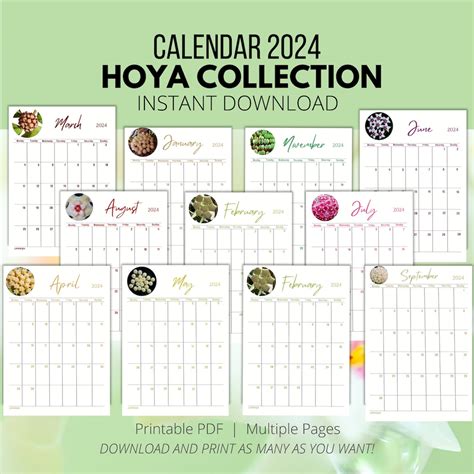 Calendar 2024 Hoya Collection Etsy