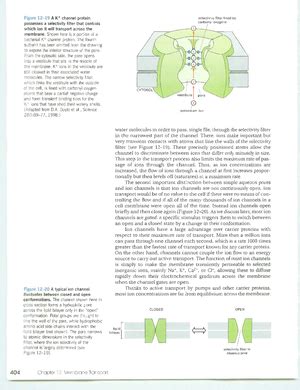 Essential Cell Biology Nd Ed Biotecnologia Studocu