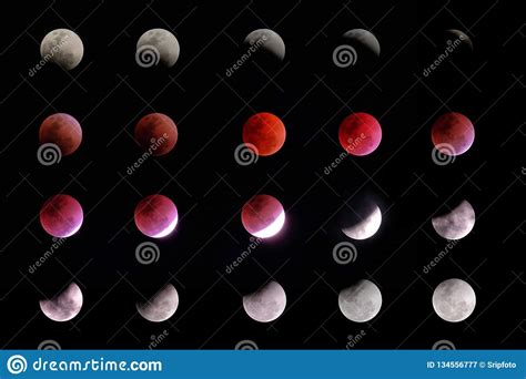 Phases Of A Lunar Eclipse Royalty-Free Stock Photography | CartoonDealer.com #57549947