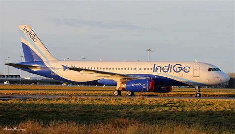 8 Best Airlines In India Indigo Spicejet And More 2024