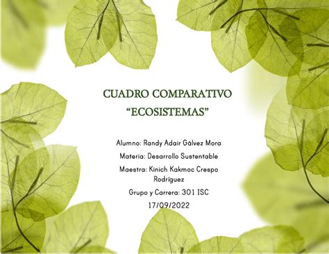 Cuadro Comparativo Ecosistemas Randy Galvez Cuadro Comparativo