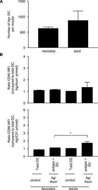 Adult Like Anti Mycobacterial T Cell And In Vivo Dendritic Cell