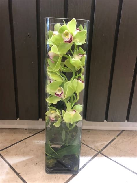 Cymbidium Orchid Cylinder In Medway MA Luna S Flower Shop