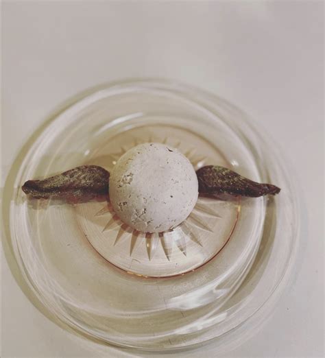 dairyland insurance phone number 1