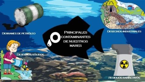 Principales Contaminantes En Aguas Marinas Tipos Y Efectos