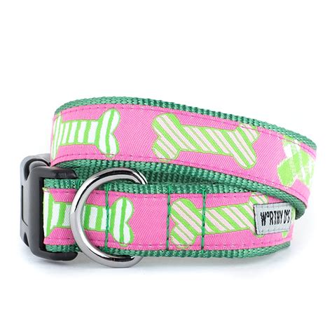 Designer Dog Collars and Leashes