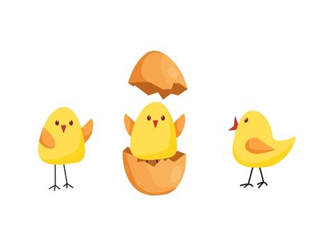 Premium Vector Funny Chicks Hatched From An Egg The Concept Of The