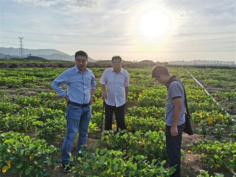 王学路一行与崖州湾科技城管理局、崖州湾种子实验室举行工作座谈 河南大学新闻网