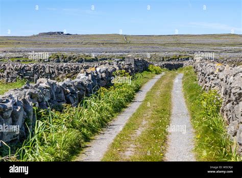 Road around stone wall and rocks with Dún Aonghasa fort in background ...