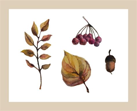 Watercolor set with acorn and leaves. 10692824 Vector Art at Vecteezy