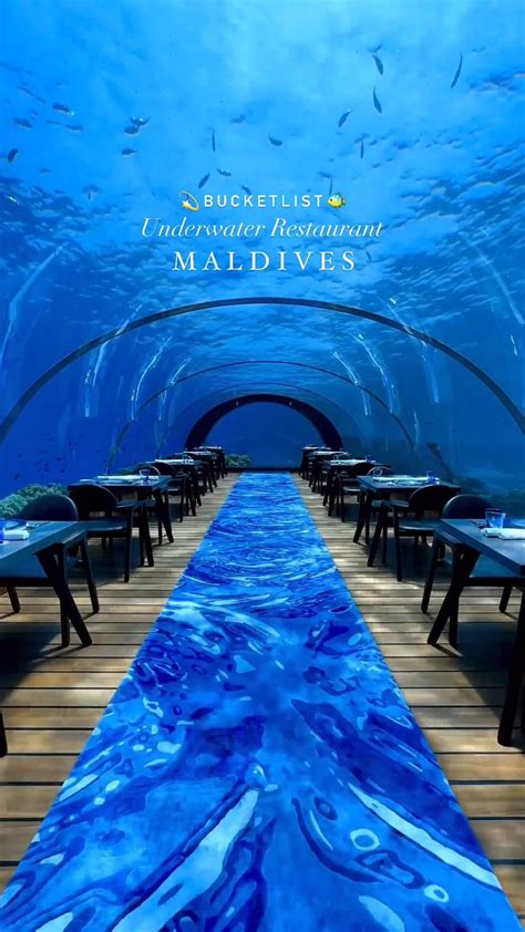 stayed     coolest underwater rooms   maldives artofit