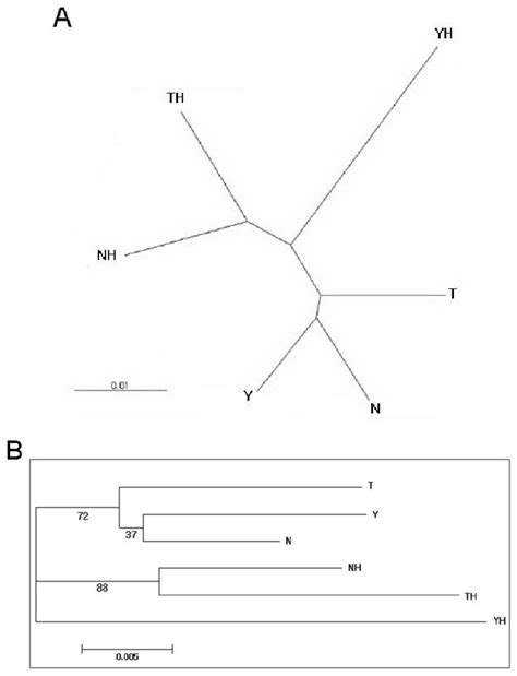 A Neighbor Joining Tree And B Dendrogram Derived From Chord Distance