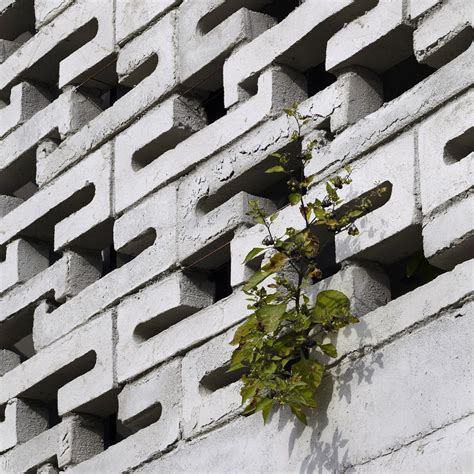 The Ground Wall In Gimhae South Korea By Fhhh Friends Architects Wooden Wall Design Concrete