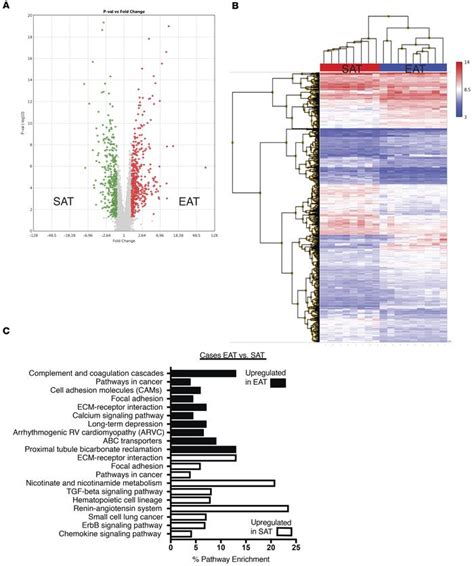 Jci Insight Coronary Disease Is Not Associated With Robust