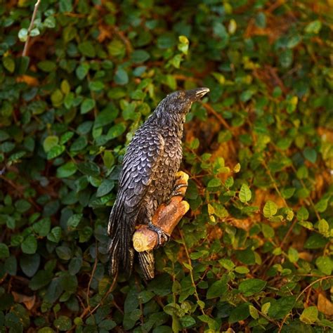 Simulation Crow Statue Black Raven Bird Repellent Pigeon Repellent Deco