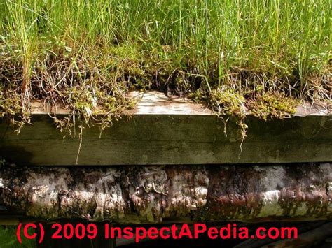 Sod roofs, dirt or grass roofs, green roofs, traditional & modern sod ...