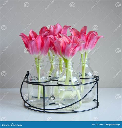 Red tulips in glass vases stock image. Image of home - 17517637